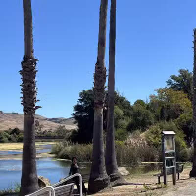Dan Foley Park - Vallejo, CA