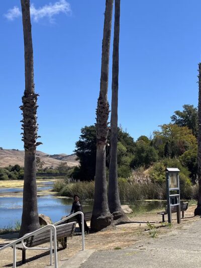 Dan Foley Park - Vallejo, CA