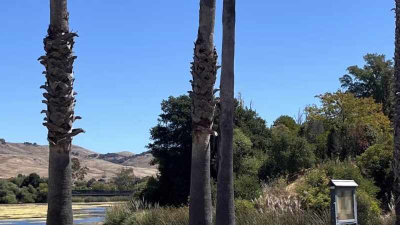 Dan Foley Park - Vallejo, CA