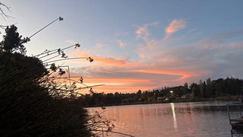 Dan Foley Park - Vallejo, CA
