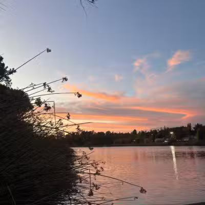 Dan Foley Park - Vallejo, CA