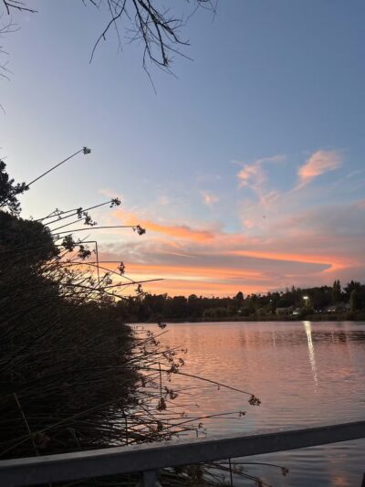 Dan Foley Park - Vallejo, CA