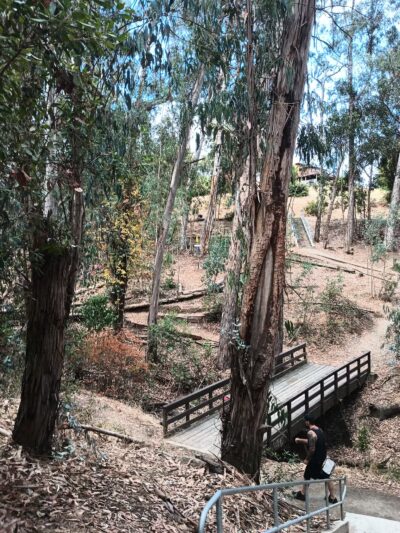 Hanns Park - Vallejo, CA