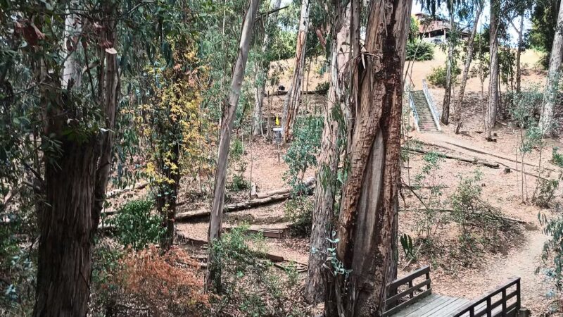 Hanns Park - Vallejo, CA