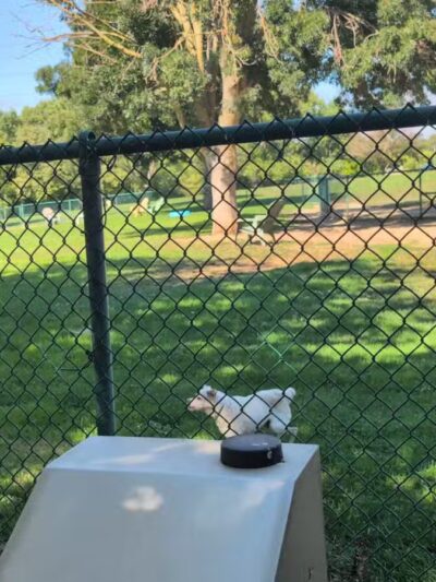 Wardlaw Park - Vallejo, CA