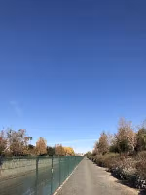 Tujunga Wash - Valley Glen, CA