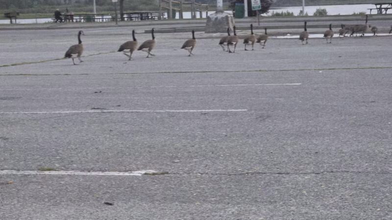North Woodmere Park - Valley Stream, NY