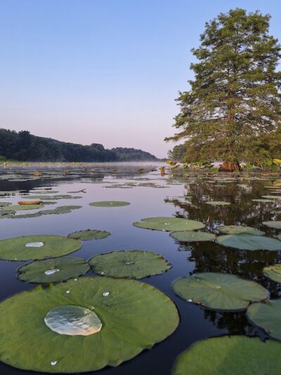 Starve-Hollow State Recreation Area - Vallonia, IN