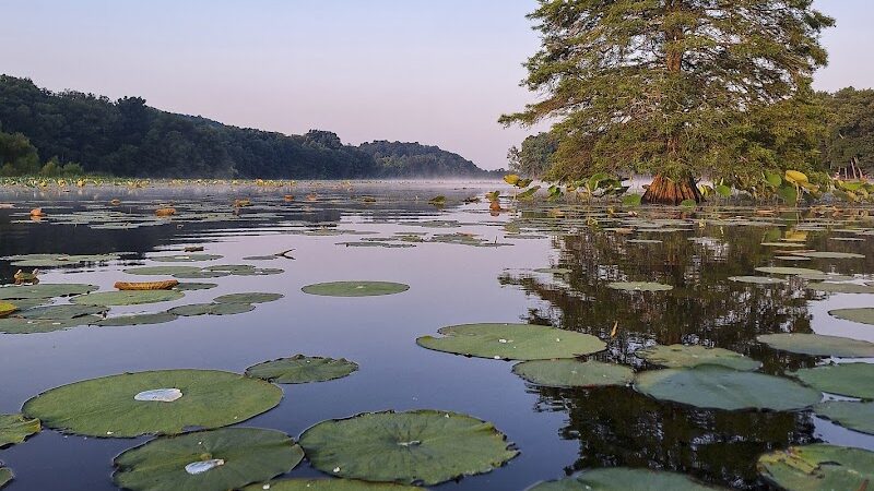 Starve-Hollow State Recreation Area - Vallonia, IN