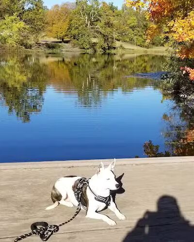 Starve-Hollow State Recreation Area - Vallonia, IN