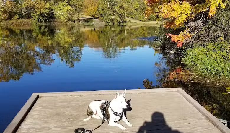 Starve-Hollow State Recreation Area - Vallonia, IN