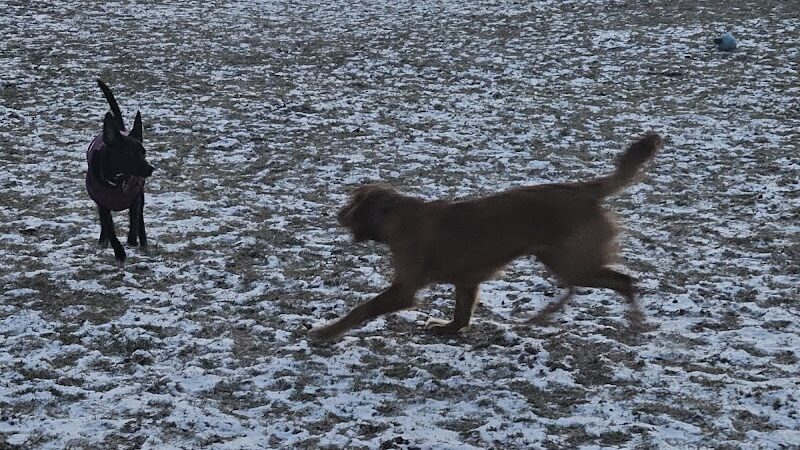 ValPAWraiso Dog Park - Valparaiso, IN