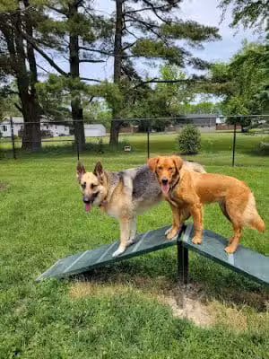 ValPAWraiso Dog Park - Valparaiso, IN