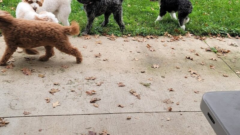 ValPAWraiso Dog Park - Valparaiso, IN