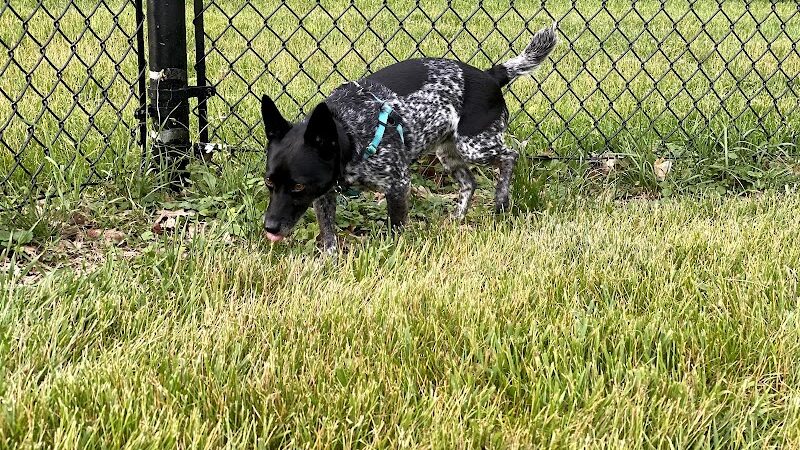 ValPAWraiso Dog Park - Valparaiso, IN