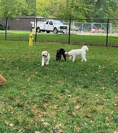 ValPAWraiso Dog Park - Valparaiso, IN