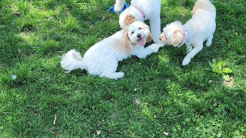 ValPAWraiso Dog Park - Valparaiso, IN