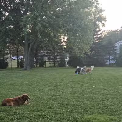 ValPAWraiso Dog Park - Valparaiso, IN