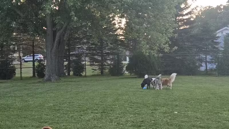 ValPAWraiso Dog Park - Valparaiso, IN