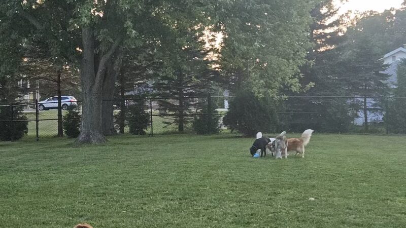 ValPAWraiso Dog Park - Valparaiso, IN