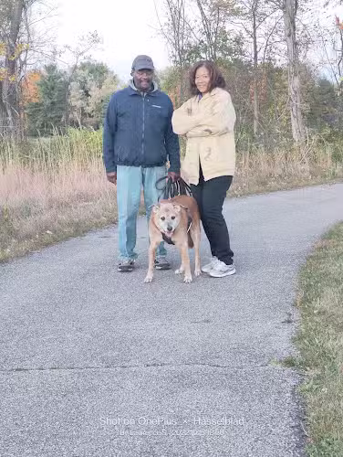 Riggs Heritage Park - Van Buren Township,