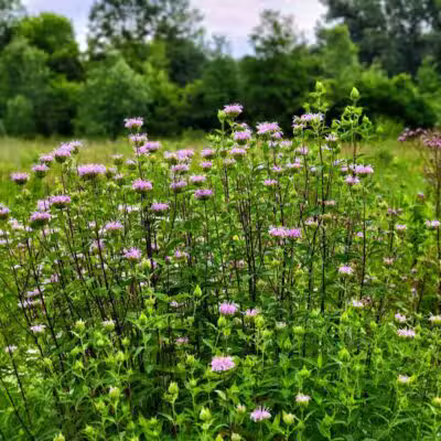 Riggs Heritage Park - Van Buren Township,