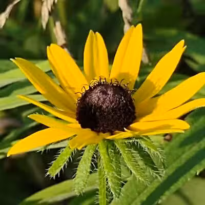Riggs Heritage Park - Van Buren Township,