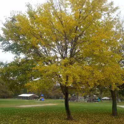 Van Buren Park - Van Buren Township,