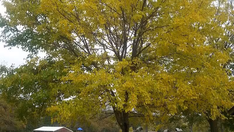 Van Buren Park - Van Buren Township,