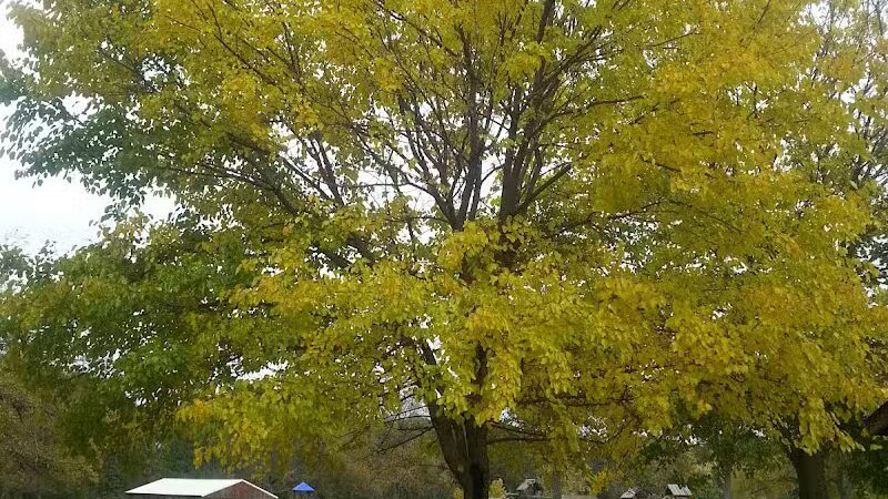 Van Buren Park - Van Buren Township,