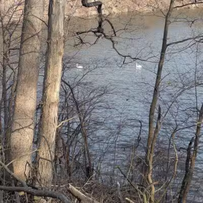 Van Buren Park - Van Buren Township,