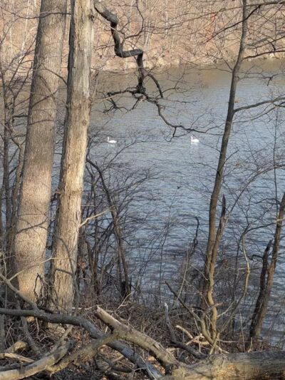 Van Buren Park - Van Buren Township,