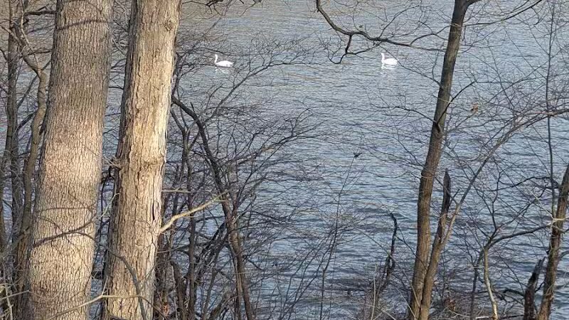 Van Buren Park - Van Buren Township,