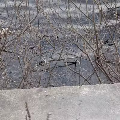 Van Buren Park - Van Buren Township,