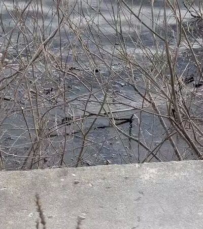 Van Buren Park - Van Buren Township,