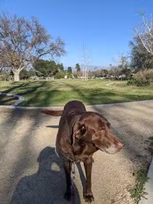 Valley Glen Community Park - Van Nuys, CA
