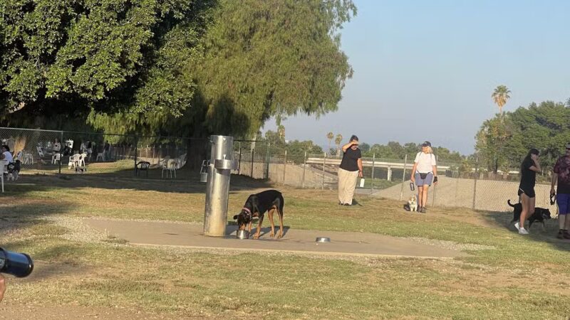 Sepulveda Basin Off-Leash Dog Park - Van Nuys, CA