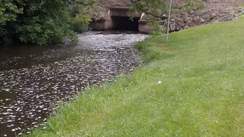 Milo Barnes Park - Vandalia,