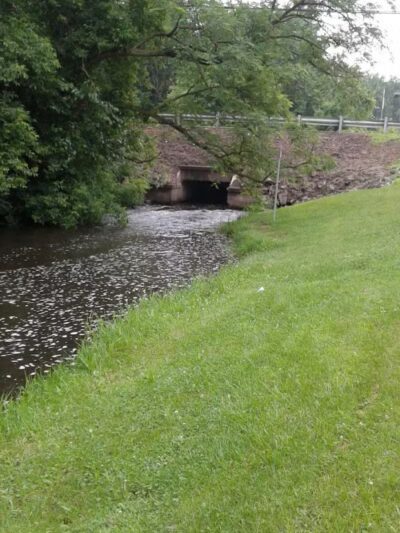 Milo Barnes Park - Vandalia,