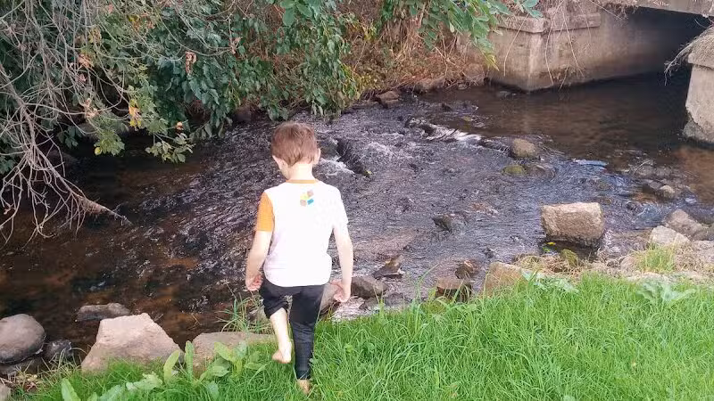 Milo Barnes Park - Vandalia,