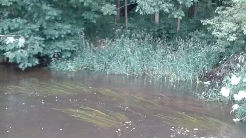 Milo Barnes Park - Vandalia,