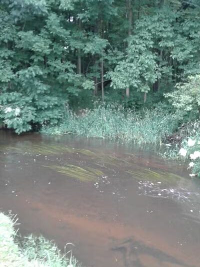 Milo Barnes Park - Vandalia,