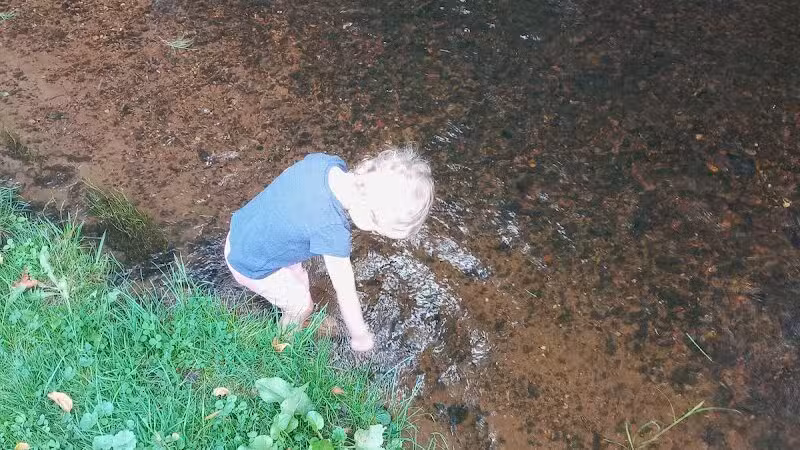 Milo Barnes Park - Vandalia,