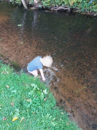 Milo Barnes Park - Vandalia,