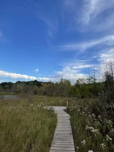 T.K Lawless Park - Vandalia,