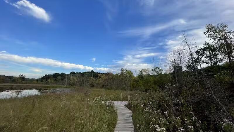 T.K Lawless Park - Vandalia,