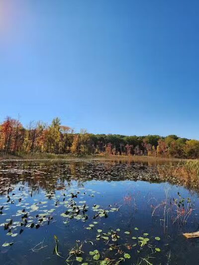 T.K Lawless Park - Vandalia,