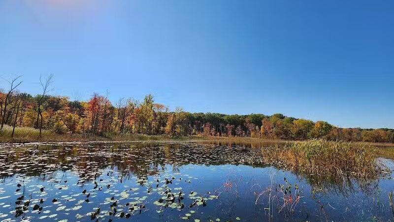T.K Lawless Park - Vandalia,