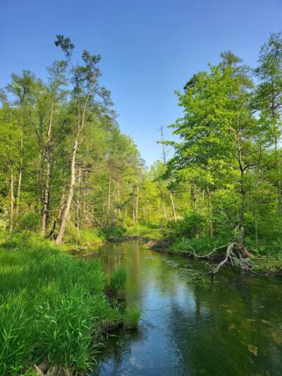 T.K Lawless Park - Vandalia,