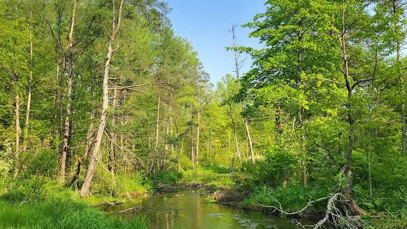 T.K Lawless Park - Vandalia,